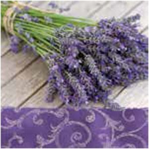 A pack of 13 by 13 inch Decpoupage Napkin Paper (SDL090000) - Set of 5 pcs