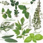 A pack of 13 by 13 inch Decpoupage Napkin Paper (SDL650000) - Set of 20 pcs