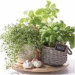 A pack of 13 by 13 inch Decpoupage Napkin Paper (SDL874000) - Set of 5 pcs