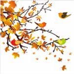 A pack of 13 by 13 inch Decpoupage Napkin Paper (SDL910000) - Set of 20 pcs