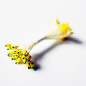 Pollens - Yellow with Green tips