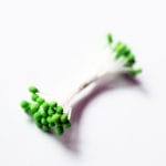 Pollens - Forest Green