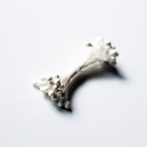 Pollens - White CAMR312