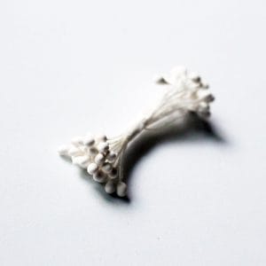 Pollens - White CAMR312