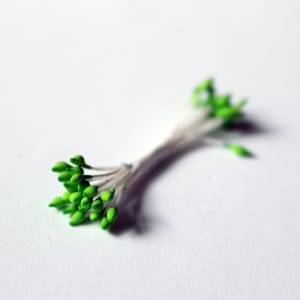 Pollens - Green CAMR314