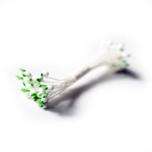 Pollens - White with green tips