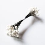 Large Wired Pollens - White