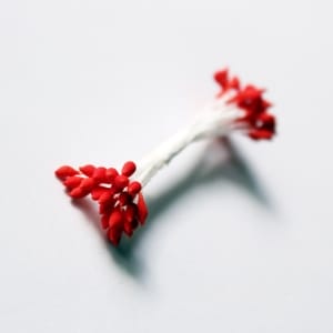 Pollens - Red CAMR308