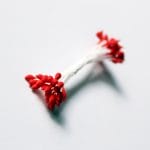 Pollens - Red CAMR308