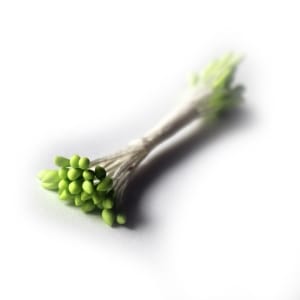 Pollens - Light Green