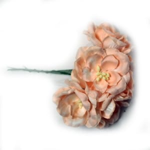 Mulberry flowers with pollens (Large) - Peach (Pack of 10 flowers)