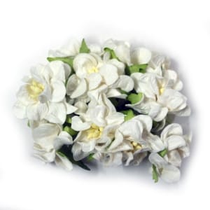 Mulberry flowers with pollens (Small) - White (Pack of 10 flowers)