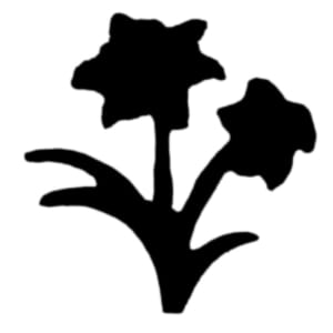 Jef Craft Punch - flowery Plant