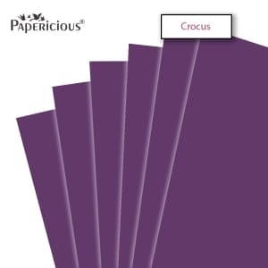 Papericious Crocus cardstock (Set of 10 sheets) - 12" by 12" (250 gsm)