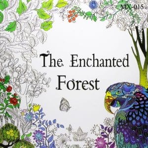 Adult colouring Book - The Enchanted Forest