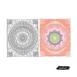 Steel Dies - Ornate Rectangles (Set of 6 dies) (XY496)