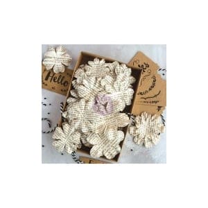 Prima Boxed Flowers - Documented Beauty With Tags 1.5"-2.25" 48pk