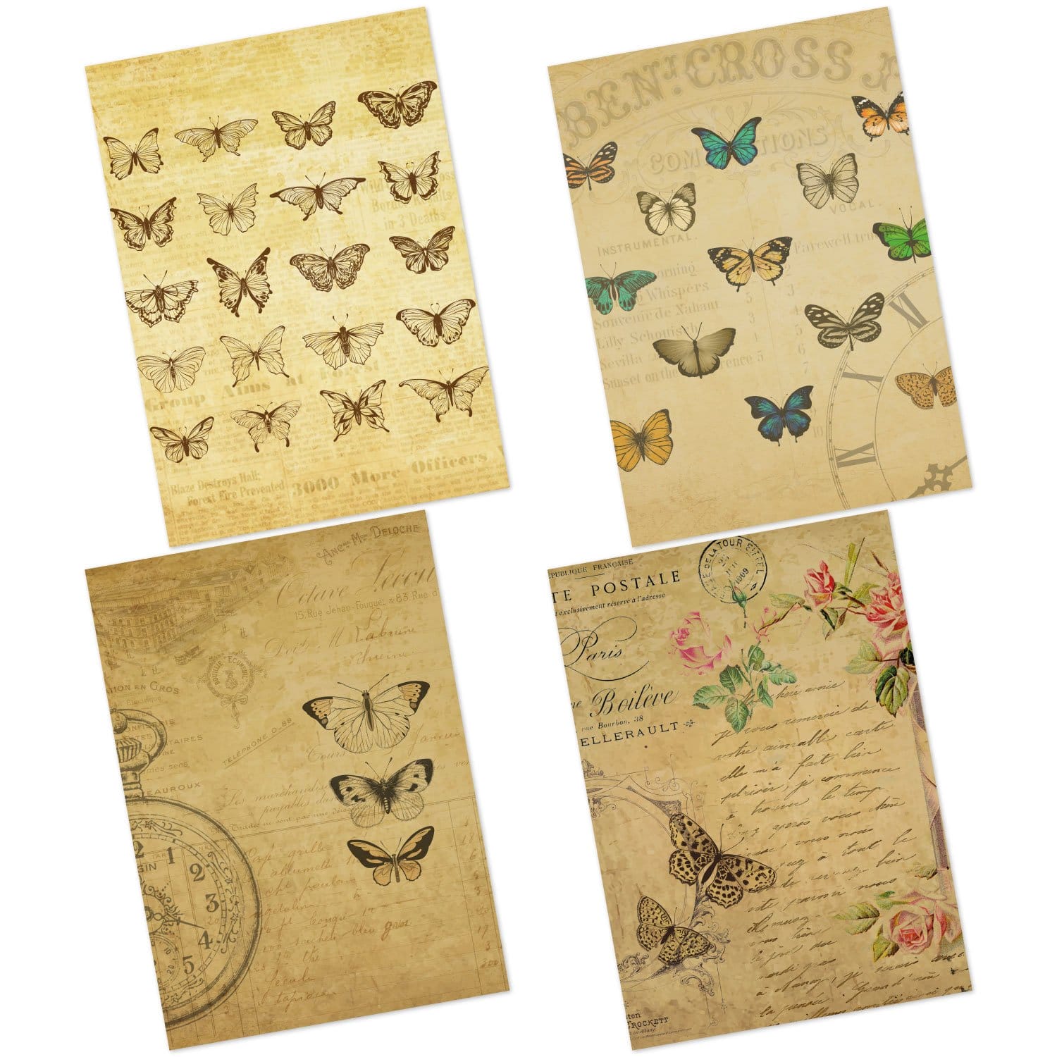CrafTangles Decoupage Paper Pack - Beautiful Butterflies (A4) - 4 sheets Beautiful Butterflies Amazon 4 Images Beautiful-Butterflies-Amazon-4-Images