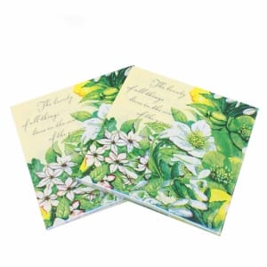A pack of 12 by 12 inch Decoupage Napkins(5 pcs) - Beautiful Flowers