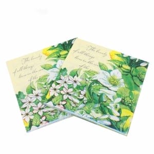 A pack of 12 by 12 inch Decoupage Napkins(5 pcs) - Beautiful Flowers