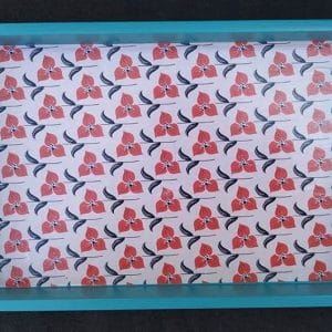 Tripthy_deocupage_nov_24