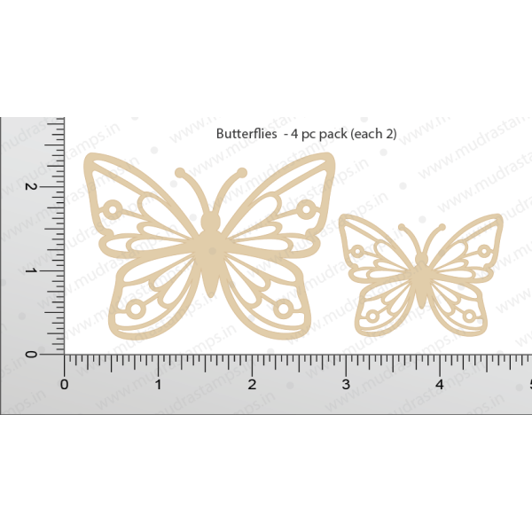 Mudra Chipzeb - Butterflies