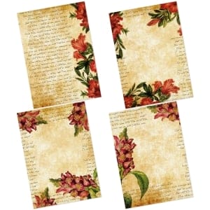 Aged-Beauty-Amazon-4-Images