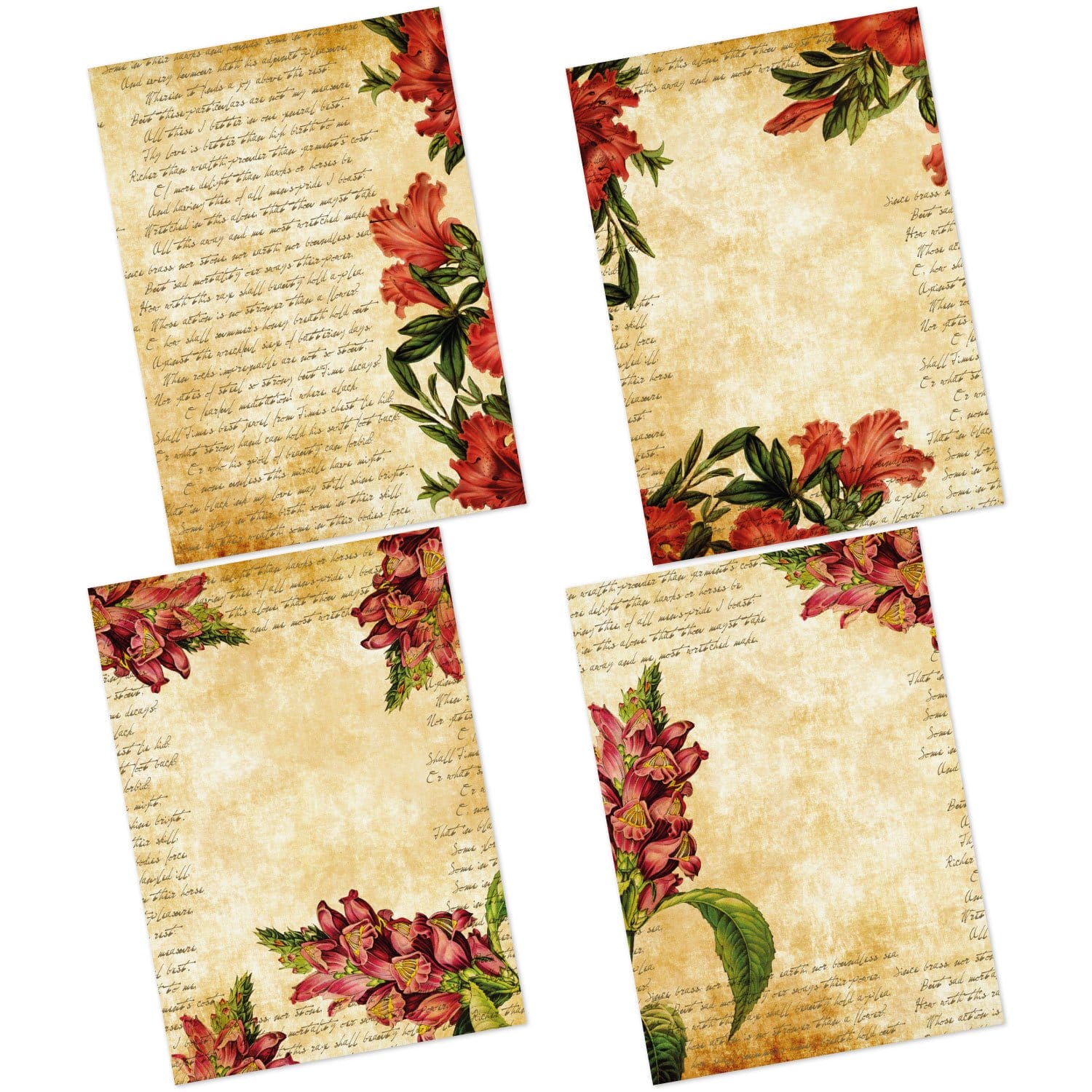 CrafTangles Decoupage Paper Pack - Aged Beauty (A4) - 4 sheets Aged Beauty Amazon 4 Images Aged-Beauty-Amazon-4-Images