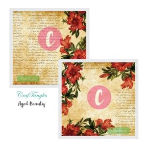 Aged-Beauty-Decoupage-Cover-12x12-1-and-2