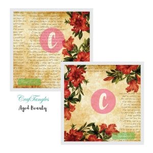 Aged-Beauty-Decoupage-Cover-12x12-1-and-2