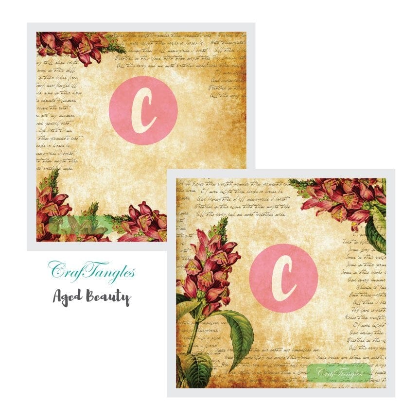CrafTangles Decoupage Paper Pack - Aged Beauty (12 by 12 inch) - 4 sheets Aged Beauty Decoupage Cover 12x12 3 and 4 Aged-Beauty-Decoupage-Cover-12x12-3-and-4