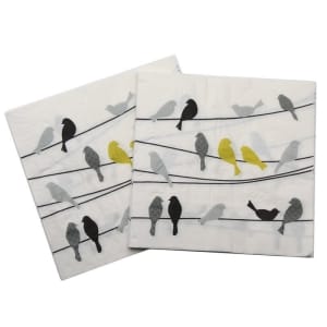A pack of 12 by 12 inch Decoupage Napkins(5 pcs) - Birds on String