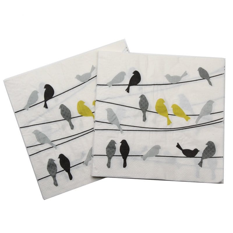 A pack of 12 by 12 inch Decoupage Napkins(5 pcs) - Birds on String