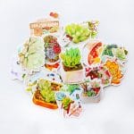 Succulents Stickers or Ephemera (30 pcs)
