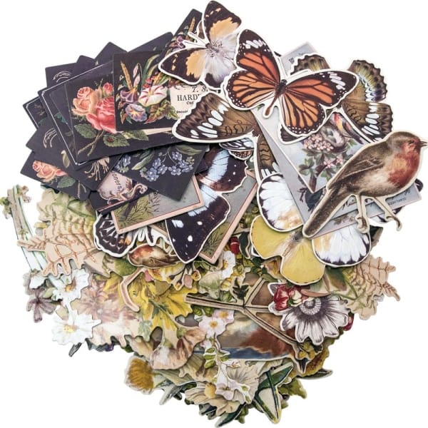 Tim Holtz Idealogy Ephemera Pack - Botanical (83/pkg)