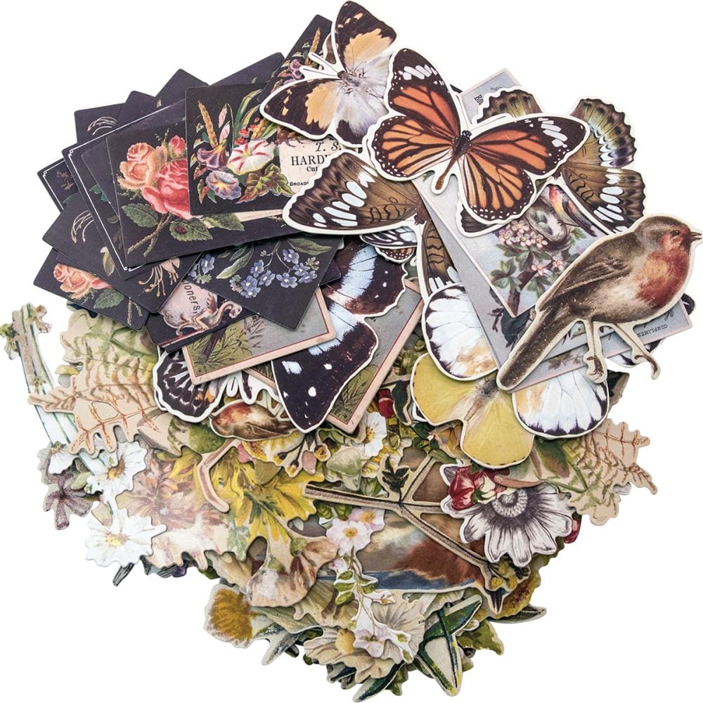 Tim Holtz Idealogy Ephemera Pack - Botanical (83/pkg) timholtz idealogy epeherma botnaical Tim Holtz Idealogy Ephemera Pack - Botanical (83/pkg)