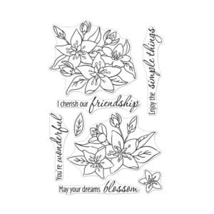 Hero Arts Clear Stamp - Dreams will blossom