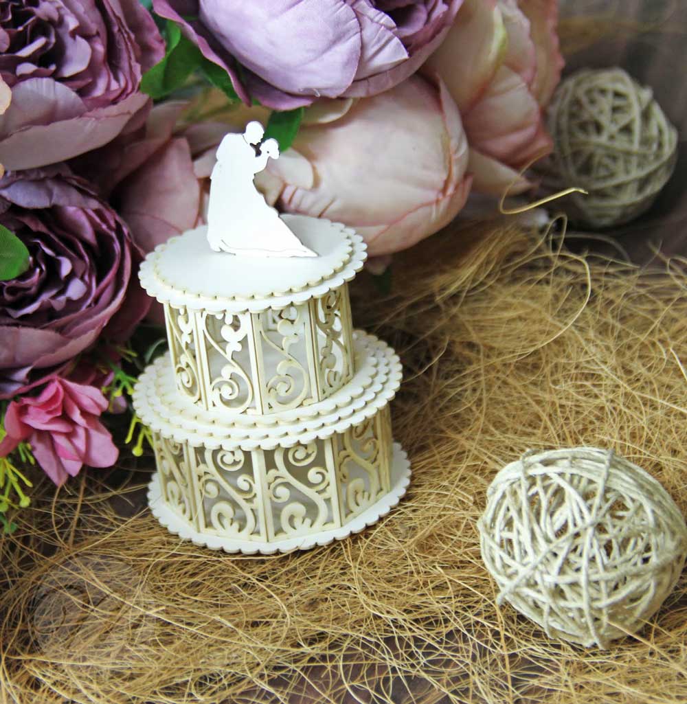 mudra_chipzeb_3D_cake_1