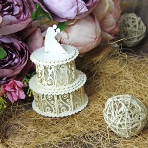 mudra_chipzeb_3D_cake_1