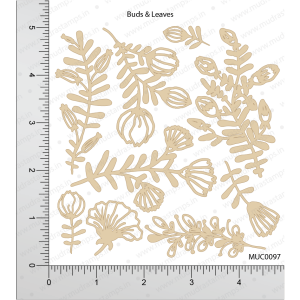 Mudra Chipzeb - Buds and Leaves