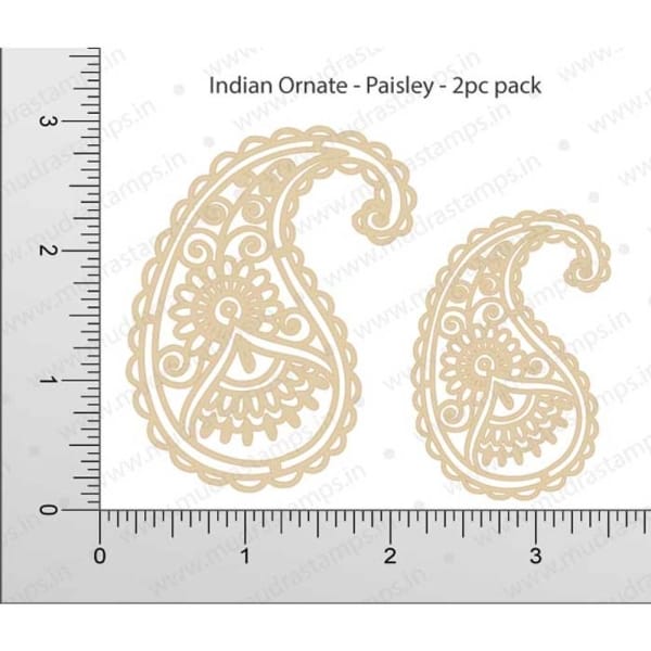 Mudra Chipzeb - Paisley