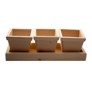 Wooden Pen Stand Set/ Flower pot set