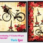 Nakshathra Designz Decoupage paper - Paris Love