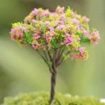 Miniatures - Tree (CAMINI-90)