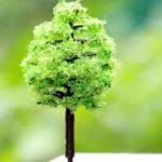 Miniatures - Tree (CAMINI-91)