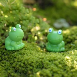 Miniatures - Frogs (2 pcs)