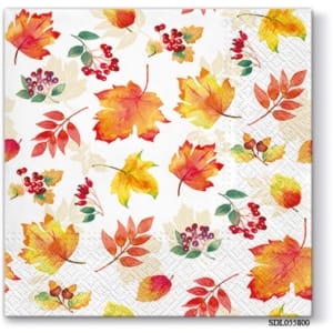 A pack of 13 by 13 inch Decpoupage Napkin Paper (SDL055800) - Set of 5 pcs