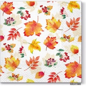 A pack of 13 by 13 inch Decpoupage Napkin Paper (SDL055800) - Set of 5 pcs