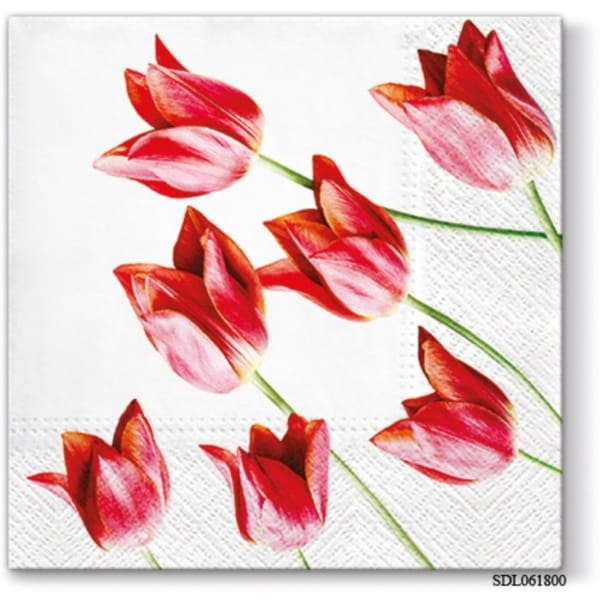A pack of 13 by 13 inch Decpoupage Napkin Paper (SDL061800) - Set of 5 pcs