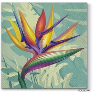 A pack of 13 by 13 inch Decpoupage Napkin Paper (SDL062300) - Set of 5 pcs